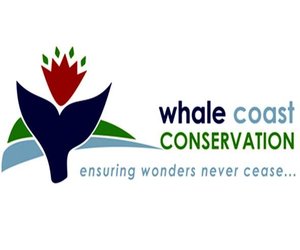 Membership and Investors in the Environment